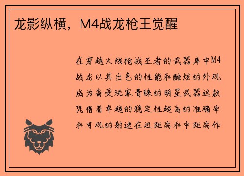 龙影纵横，M4战龙枪王觉醒
